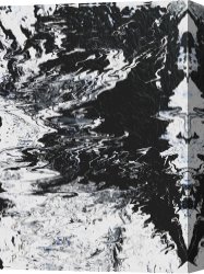 White Canvas Prints - Victory by Ralph White