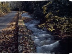 Raymond Gehman Canvas Prints - Autumn View of a Park Road Running Along Island Lick Creek by Raymond Gehman