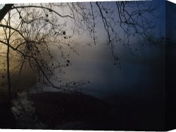 Raymond Gehman Canvas Prints - Fog And Silhouetted Trees at Sunrise on The Little Tennessee River by Raymond Gehman