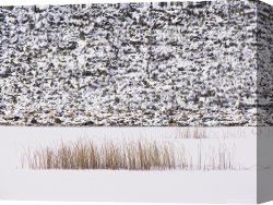 Between Geest And Marsh Canvas Prints - Frozen Pond Marsh Grass And Talus Slope Yellowstone National Park by Raymond Gehman