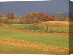 Raymond Gehman Canvas Prints - Pastoral View of Rolling Fields And Autumn Foliage by Raymond Gehman