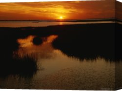 Between Geest And Marsh Canvas Prints - Sunset Over a Salt Marsh with Cordgrass by Raymond Gehman