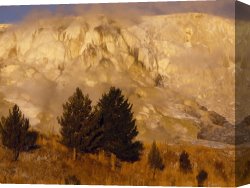 Woman at a Hot Spring Hotel Canvas Prints - Terraces of Travertine Rim Mammoth Hot Springs in Yellowstone National Park by Raymond Gehman
