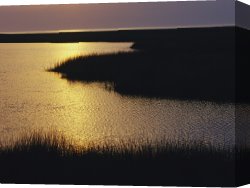Between Geest And Marsh Canvas Prints - Twilight on a Marsh with Aquatic Grasses by Raymond Gehman