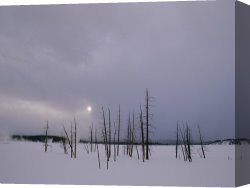 Woman at a Hot Spring Hotel Canvas Prints - Winter Landscape with Trees Killed by Hot Springs Lower Geyser Basin by Raymond Gehman