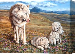 Summer Canvas Prints - Arctic Summer by Richard De Wolfe