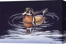 Reflection Canvas Prints - Royal Reflections by Richard De Wolfe