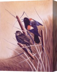 Song of The North Canvas Prints - Song of the Marsh by Richard De Wolfe