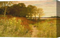 Wild Boars Canvas Paintings - Landscape with Wild Flowers and Rabbits by Robert Collinson