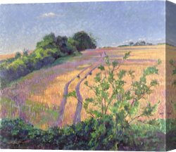 Summer Canvas Prints - Golden Summer by Robert Tyndall