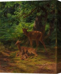 Rosa Bonheur Canvas Prints - Deer in Repose by Rosa Bonheur