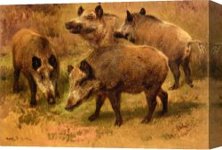 Rosa Bonheur Canvas Prints - Four Boars in a Landscape by Rosa Bonheur
