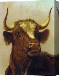 Rosa Bonheur Canvas Prints - Head of a Bull by Rosa Bonheur