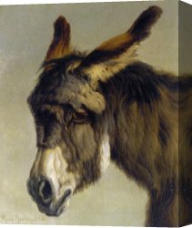 Rosa Bonheur Canvas Prints - Head of a Donkey by Rosa Bonheur