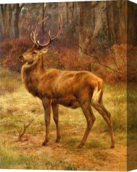 Rosa Bonheur Canvas Prints - Stag in an Autumn Landscape by Rosa Bonheur