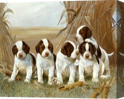 Belle Du Jour Canvas Prints - Belle's Pups by Ruane Manning