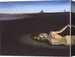 Sleeping Woman Canvas Prints - Woman Sleeping in a Landscape by Salvador Dali