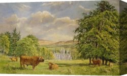 Scott Canvas Prints - Bulls at Balmoral by Tim Scott Bolton