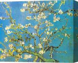 Impressionism Canvas Prints - Blossoming Almond-branches by Vincent van Gogh
