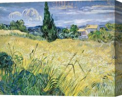 Landscape Canvas Paintings - Landscape with Green Corn by Vincent Van Gogh