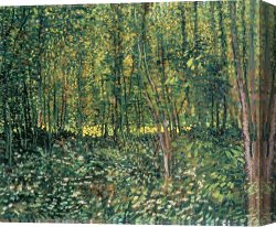 Undergrowth Canvas Prints - Trees and Undergrowth by Vincent van Gogh