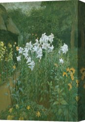 Cubist Lilies Canvas Prints - Madonna Lilies in a Garden by Walter Crane