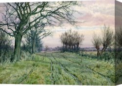 Boar Lane Canvas Paintings - A Fenland Lane with Pollarded Willows by William Fraser Garden