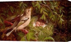 Undergrowth Canvas Prints - A Chaffinch at its Nest by William Hughes