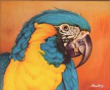 Agris Rautins Blue-and-yellow macaw