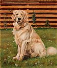 Agris Rautins Drawing of a Golden Retriever