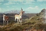 Albert Bierstadt Antelope