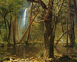 Albert Bierstadt View in Yosemite Valley painting