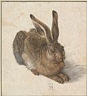 Albrecht Durer Hare painting