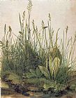 Albrecht Durer Great Piece Of Turf painting