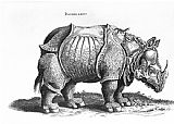 Albrecht Durer Rhinoceros No 76 From Historia Animalium By Conrad Gesner
