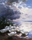 Alexander Koester Ducks at The Lakes Edge