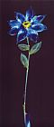 alfred gockel Midnight Blue Daisy Panel painting