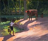 Andrew Macara Kerala Backwaters