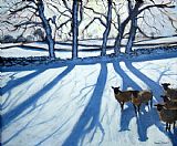 Andrew Macara Sheep in snow