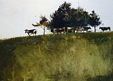 andrew wyeth Shadey Trees