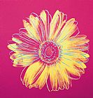 Andy Warhol Daisy c.1982 Fuschia And Yellow