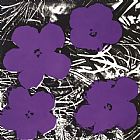 Andy Warhol Flowers c.1965 4 Purple