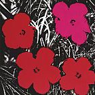 Andy Warhol Flowers Red And Pink c.1964