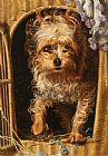Basket Prints - Darby in His Basket Kennel by Anthony Frederick Sandys