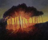 Wild Prints - Wild Trees at Sunset by Antonia Myatt