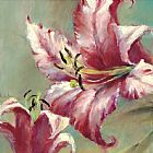 brent heighton Blooming Lily