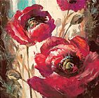 brent heighton Dramatic Poppy