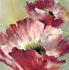 brent heighton Lush Poppy