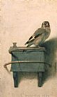 Carel Fabritius The Goldfinch