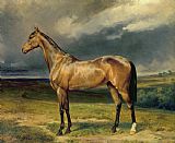 Carl Constantin Steffeck Abdul Medschid the chestnut arab horse